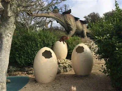 공룡 알을 옮기면 어떻게 될까요?